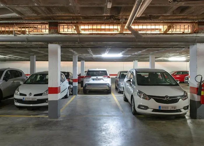 Monkeys Muro De Navarros Deluxe